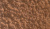 11677 (1) 11677 (1)